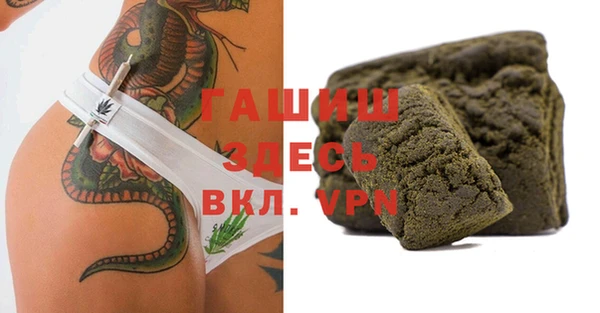 шишки Сатка