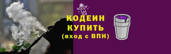 шишки Сатка