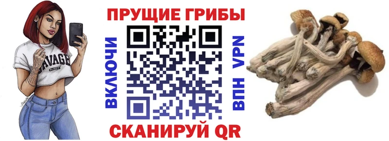Псилоцибиновые грибы мухоморы  Мещовск 