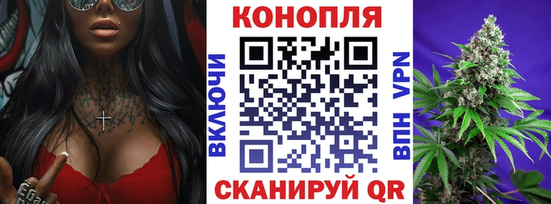 Шишки марихуана тримм  мориарти официальный сайт  Мещовск 